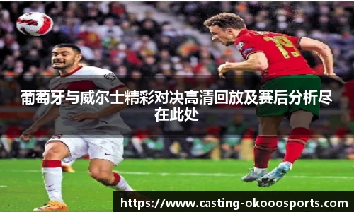 葡萄牙与威尔士精彩对决高清回放及赛后分析尽在此处
